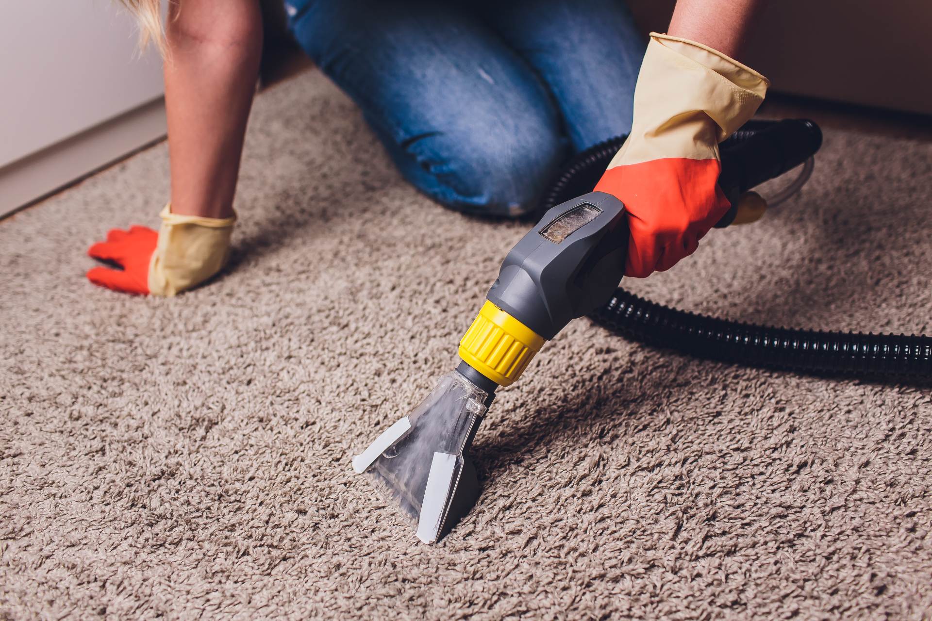 Cleaning carpet with a steam vacuum